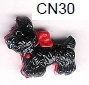 CN30 Stock Pic.jpg